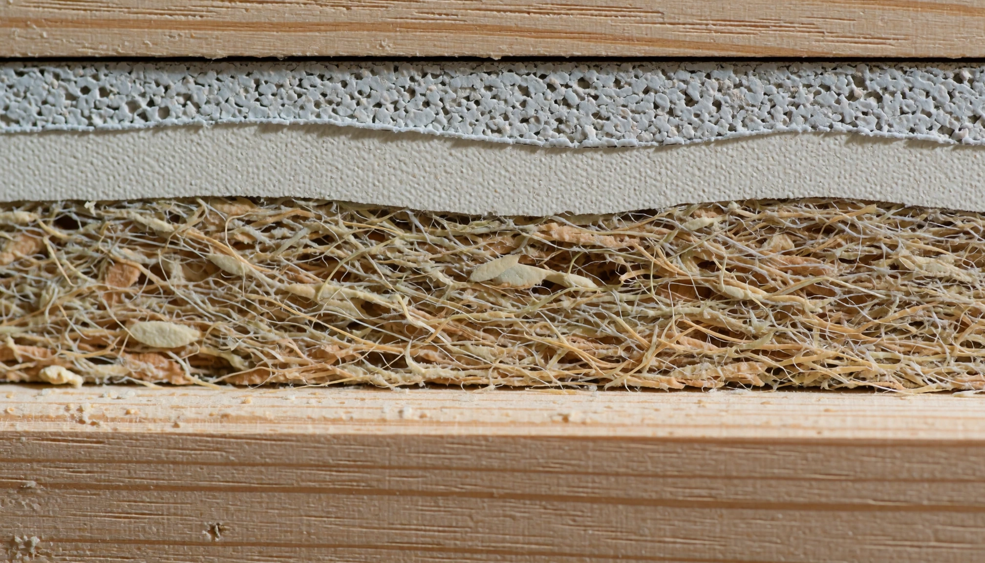 Illustration 2 liée à Eco Bois Confort : Guide Complet pour un Habitat Écologique et Confortable